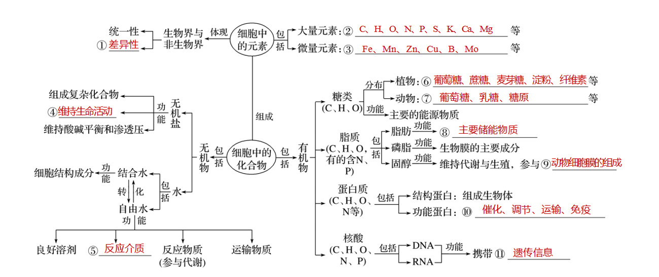 博智教育